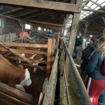 Trei sferturi dintre fermierii români nu primesc elevi în practică din lipsă de timp și de personal
